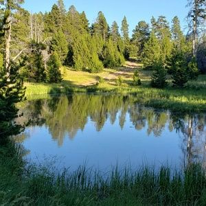 Meet your Posher, Carley